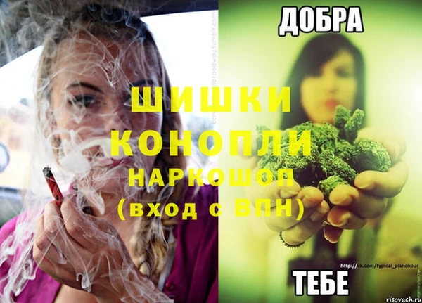 гашик Володарск